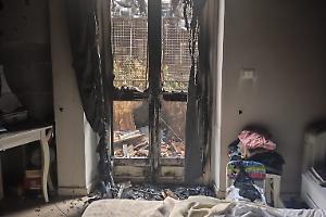 Torino, incendio in piazza Ghirlandaio: morti due cani, quattro salvati dai vigili del fuoco [VIDEO]