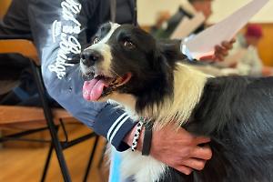 «Voglio guarire per abbracciare il mio cane»