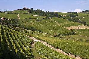 "Monferrato 2025", il primo rapporto che racconta l’economia di un territorio in ripartenza