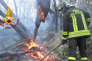 Incendio boschivo a Condove: fiamme domate grazie all’intervento coordinato dei soccorsi