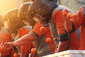 Carnevale di Ivrea, arance pulite contro il caporalato: firmato il protocollo in Prefettura