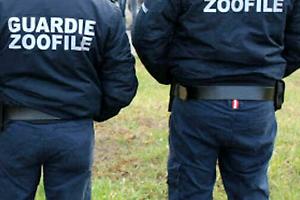 Settimo, cani isolati e acqua ghiacciata: denunciato un cacciatore