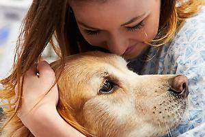 Pet therapy in Pediatria all’ospedale di Novara, parte il progetto “Quattro zampe”