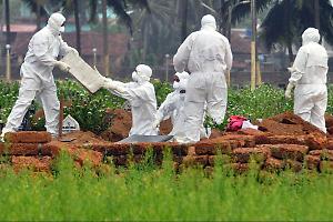 Virus Nipah: nuovi casi, sintomi e precauzioni da conoscere