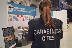 Reati ambientali in crescita in Piemonte: oltre 50mila controlli dei carabinieri forestali nel 2025