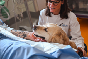 Eroi torinesi (pelosi): le "mascotte della felicità" in corsia