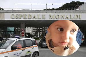 La Procura indaga su altri trapianti al Monaldi dopo la morte di Domenico Caliendo