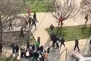 Torino, ennesima rissa e violenza ai Giardini Madre Teresa