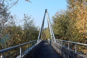 Collegno rinnova il verde urbano: 72 nuovi alberi piantati al Villaggio Dora