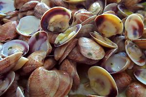 Come si è diffusa l’epatite A: origine del focolaio e dinamiche del contagio