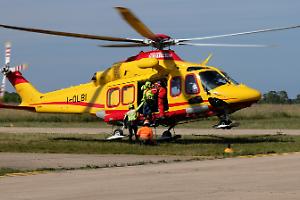 Colpito dalla pianta che stava tagliando: muore sul colpo