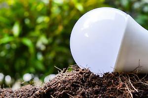 Addio lampadine, avanti fotovoltaico: il Piemonte brilla nella raccolta RAEE