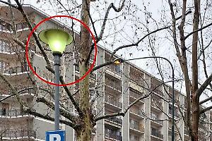 Lampioni accesi di giorno: spreco o verità nascosta?