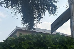 Ventisei ore dopo, è ancora sul tetto: minaccia di lanciarsi nel vuoto