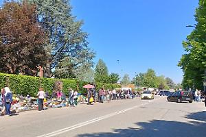 Il suk “esteso” che non chiude mai, Montaruli: «Così è violato il patto»