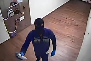 Dieci anni dopo il colpo del secolo: «Un caso che oggi studiano a scuola»