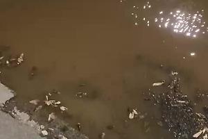 «Senza  lavarsi o bere per due ore»: tubi esplosi e strade allagate