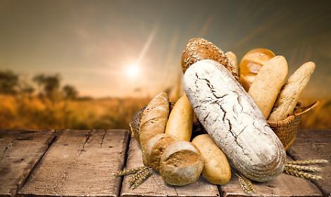 pane