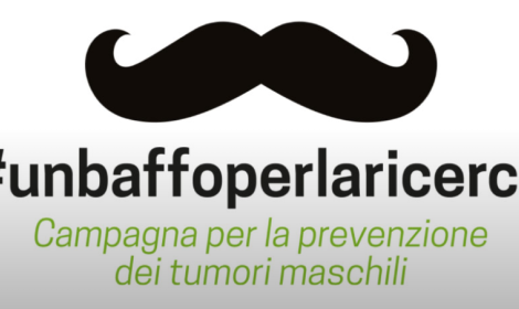 baffo ricerca