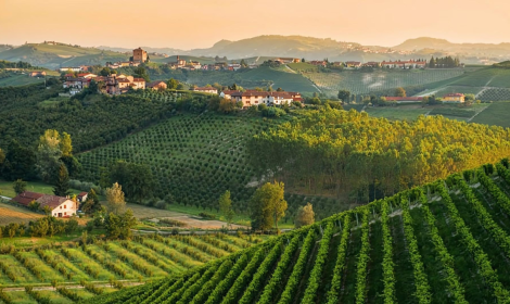 Staffetta per la pace