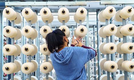 Moda veloce, danni duraturi: a Torino si discute di "bellezza che cura" e sostenibilità tessile