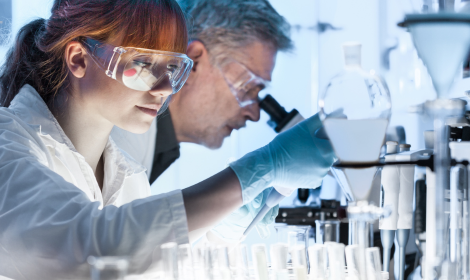 Torino guida la rivoluzione microbica: 43mila risorse mappate