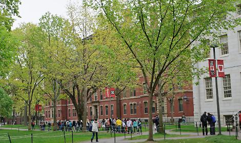 Scontro istituzionale: Harvard difende l'autonomia contro le restrizioni dell'amministrazione Trump su studenti stranieri