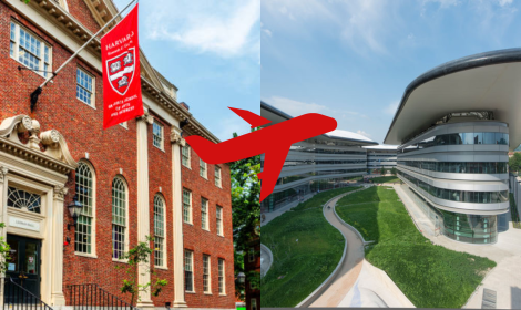Harvard sceglie Torino per la sua Summer School che unisce bellezza, comunità e innovazione