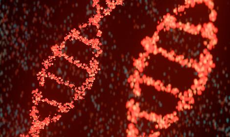 Come il trauma si trasmette tra le generazioni: non solo attraverso il DNA