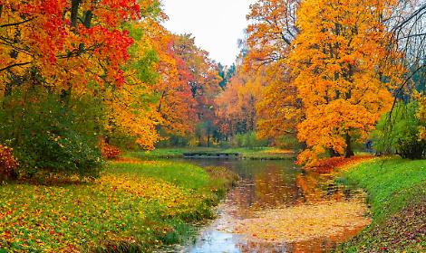 Piemonte a piedi tra i colori d’autunno: ecco i sentieri più belli per il foliage
