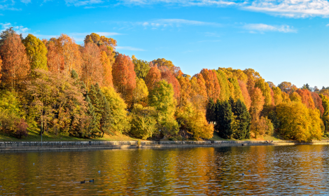 Torino è più bella d'autunno: eventi e attività per celebrare la stagione