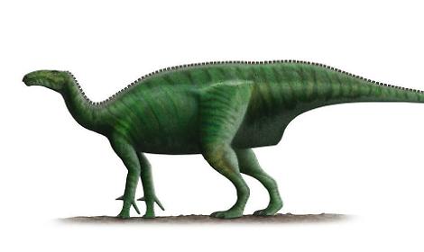 Nuovo dinosauro scoperto in Portogallo: l’italiano Filippo Bertozzo tra i protagonisti