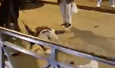 Auto contro pedone alla fermata del tram. Il video shock a Barriera