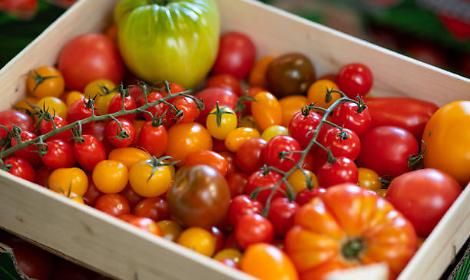 Trump rimuove i dazi su centinaia di prodotti alimentari