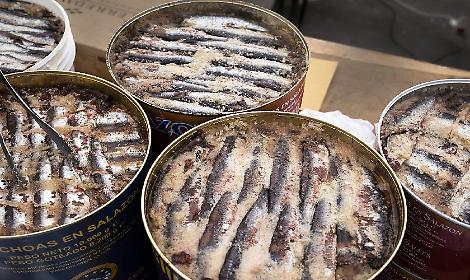 Gli acciugai del Piemonte: la storia che nessuno ti ha mai raccontato