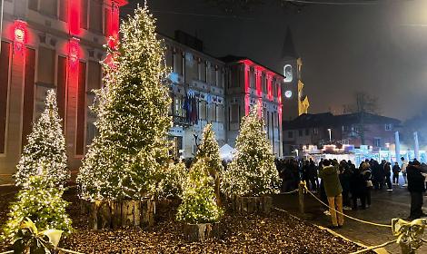 A Settimo arriva un bosco di Natale in mezzo alla città
