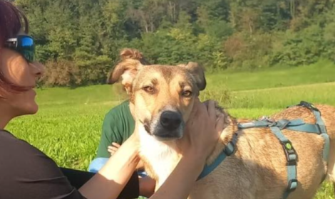 Salvata dalla strada: la storia di Venere