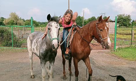 lite per un cavallo, 38enne si toglie la vita a nole: indagini della procura di ivrea