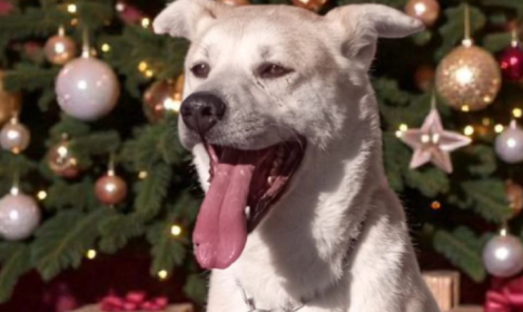 Viveva isolata, ora scopre il mondo nel torinese