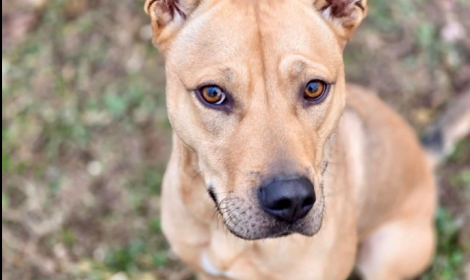 E' nata la Vigilia di Natale di due anni fa: il suo desiderio &egrave; sempre lo stesso, una famiglia