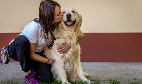 Pet therapy in Piemonte? Ora c'&egrave; la super pedagogista amica degli animali