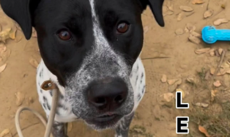 E' stato abbandonato eppure &egrave; ancora un'esplosione di vita