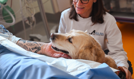 Eroi torinesi (pelosi): le "mascotte della felicit&agrave;" in corsia