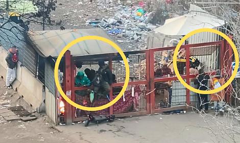 Spaccio a Torino, il cantiere nel parco diventa un "take away" della droga