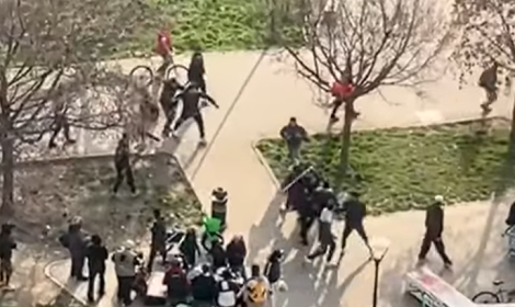 Torino, ennesima rissa e violenza ai Giardini Madre Teresa