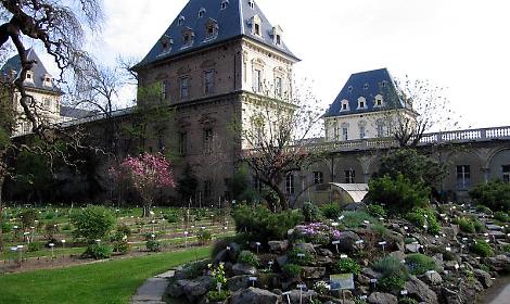 Torino, riapre l&rsquo;Orto Botanico del Valentino: piante e fiori da tutto il mondo