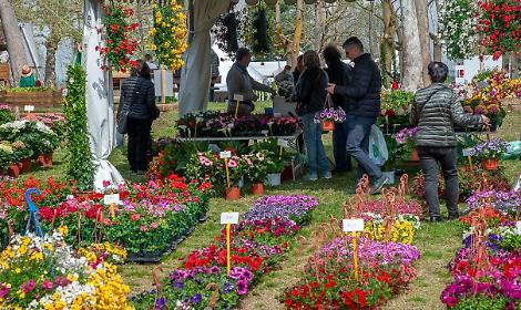 Fiori, giardini e mercatini