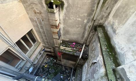 Cane cade dal terzo piano, la padrona si cala nel cortile per salvarlo: rischia una denuncia