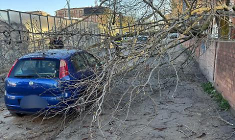 Raffiche di vento senza tregua a Torino: numerosi interventi dei vigili del fuoco per alberi e rami caduti