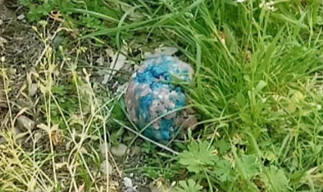 Esche killer nei parchi